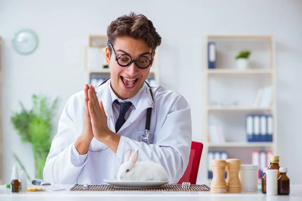 Šílený šílený doktor se chystá jíst králíka — Stock fotografie