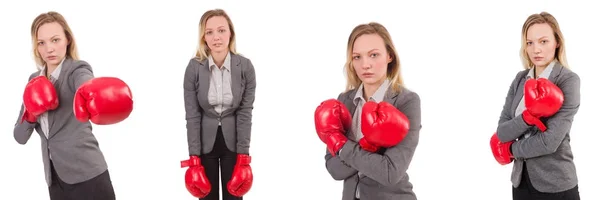 Žena podnikatelka s boxerskými rukavicemi na bílém — Stock fotografie