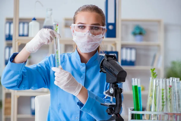 Investigadora científica que realiza un experimento en un labora —  Fotos de Stock