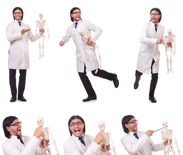 Grappige leraar met skelet geïsoleerd op wit — Stockfoto