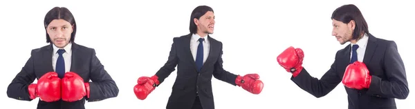 Homme d'affaires avec gants de boxe sur blanc — Photo