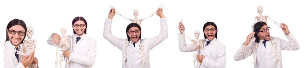 Funny teacher with skeleton isolated on white — Stock Photo, Image