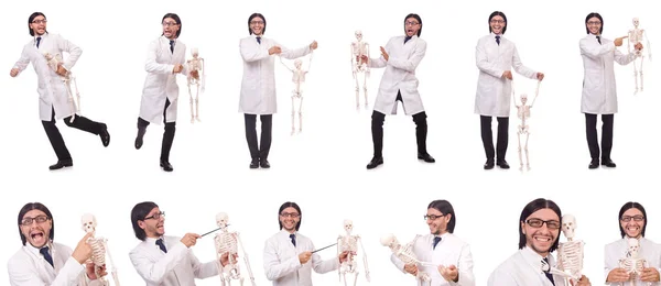 Funny teacher with skeleton isolated on white — Stock Photo, Image