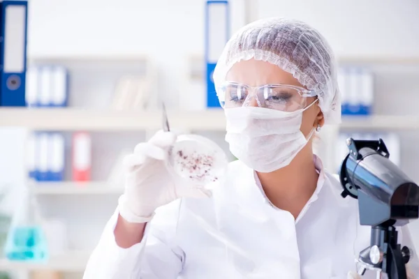 Kvinnlig forskare som utför ett experiment i ett laboratorium — Stockfoto