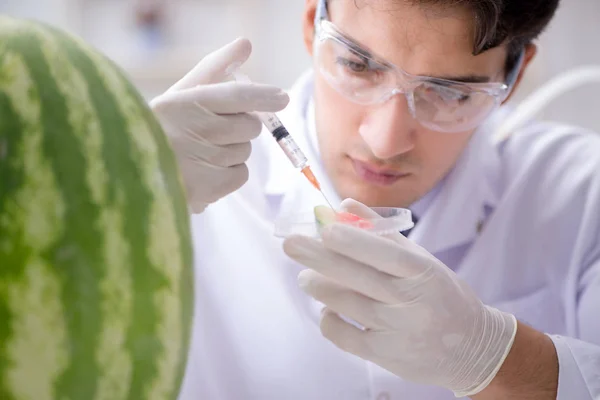 Scientifique testant pastèque en laboratoire — Photo