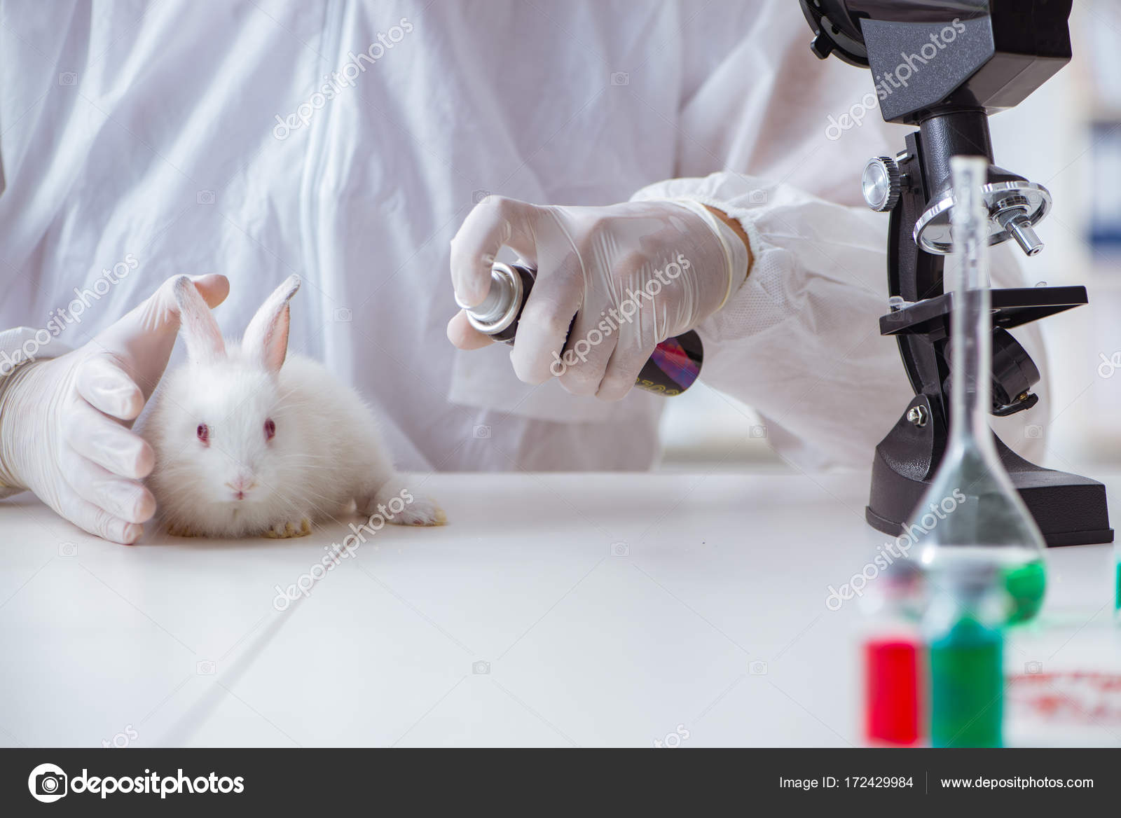 animal experimentation rabbits