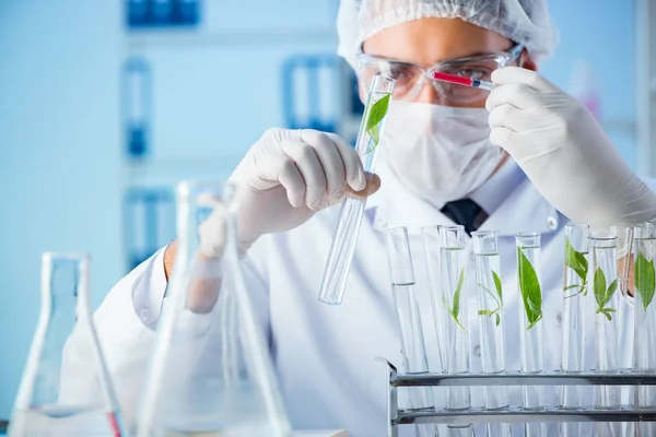 Concepto de biotecnología con científico en laboratorio —  Fotos de Stock