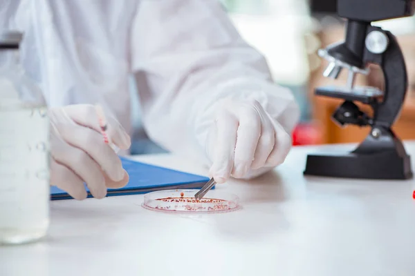 Químico que trabaja en el laboratorio con productos químicos peligrosos — Foto de Stock