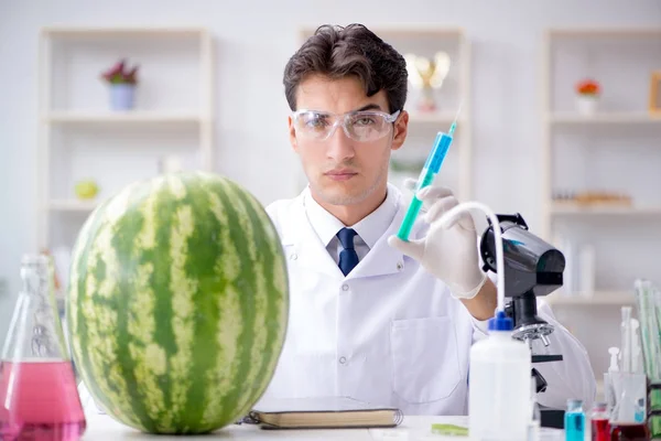 Científico probando sandía en laboratorio — Foto de Stock