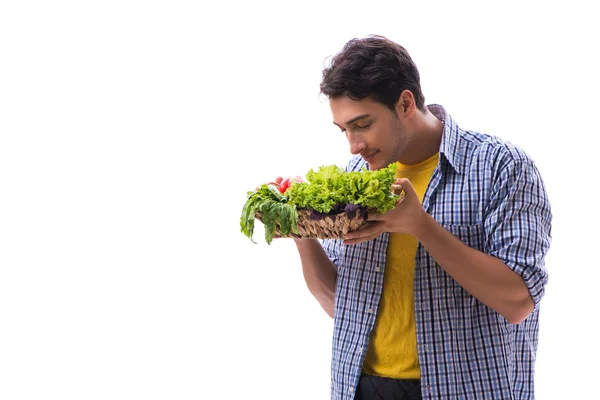 Homem com cesta de frutas e legumes — Fotografia de Stock