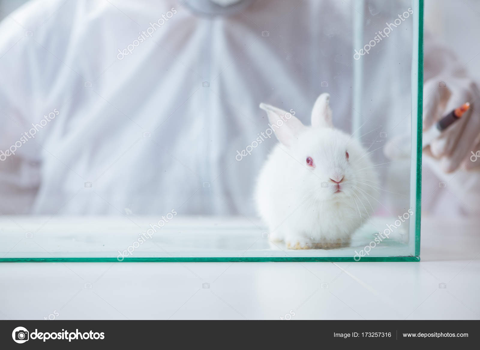 Вибратор Кролик The Rabbit Company Kissing Rabbit, голубой TRC-015BLU - The Rabbit Company - Вибраторы-кролики - Купить