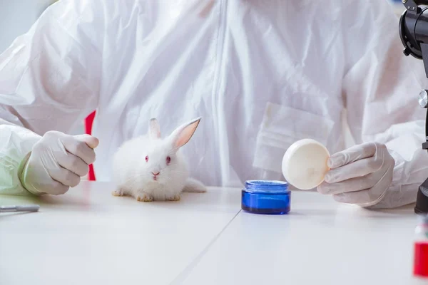 Λευκό κουνέλι σε επιστημονικό εργαστηριακό πείραμα — Φωτογραφία Αρχείου