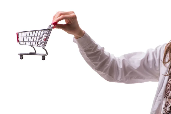 Hand holding shopping cart isolated on white — Stock Photo, Image