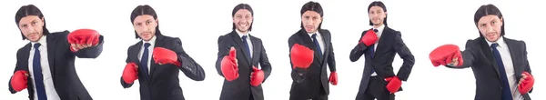 Uomo d'affari con guanti da boxe su bianco — Foto Stock