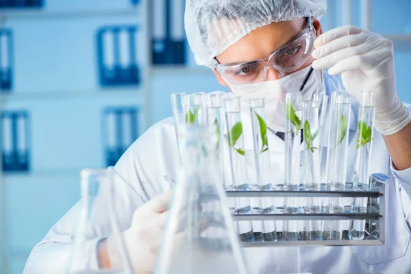 Conceito de biotecnologia com cientista em laboratório — Fotografia de Stock