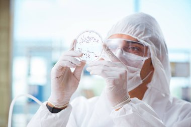 Doktor tıp laboratuarında virüs üzerinde çalışıyor.