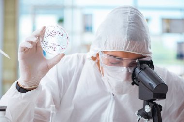 Doktor tıp laboratuarında virüs üzerinde çalışıyor.