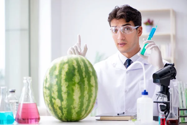 Científico probando sandía en laboratorio — Foto de Stock