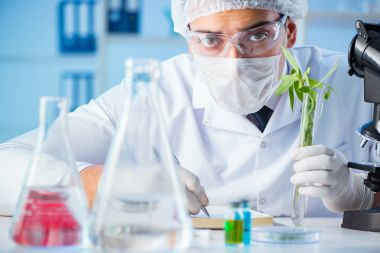 Laboratuvarda bilim adamıyla biyoteknoloji kavramı