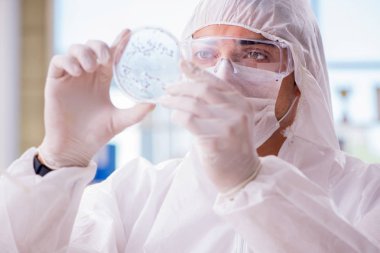 Doktor tıp laboratuarında virüs üzerinde çalışıyor.