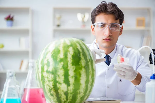 Wetenschapper test watermeloen in het lab — Stockfoto