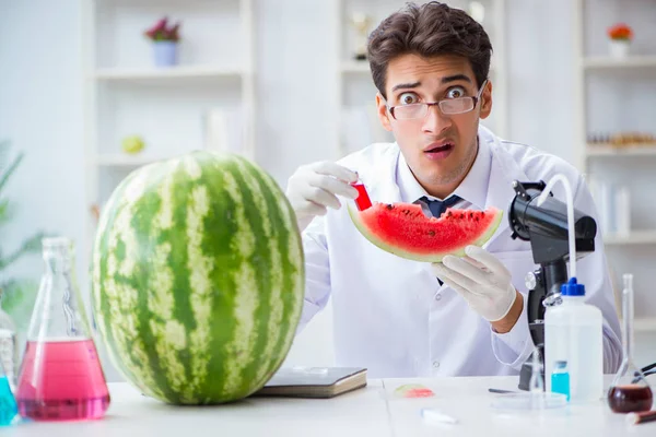 Naukowiec badający arbuza w laboratorium — Zdjęcie stockowe