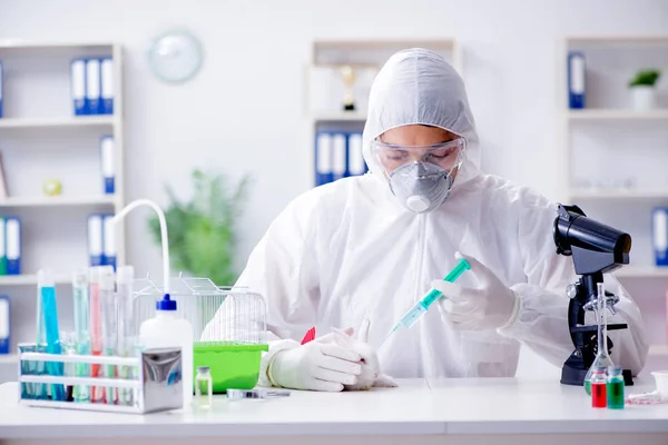 Científico haciendo experimentos con animales en laboratorio con conejo —  Fotos de Stock