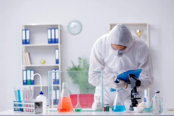 Cientista fazendo experiência animal em laboratório com coelho — Fotografia de Stock