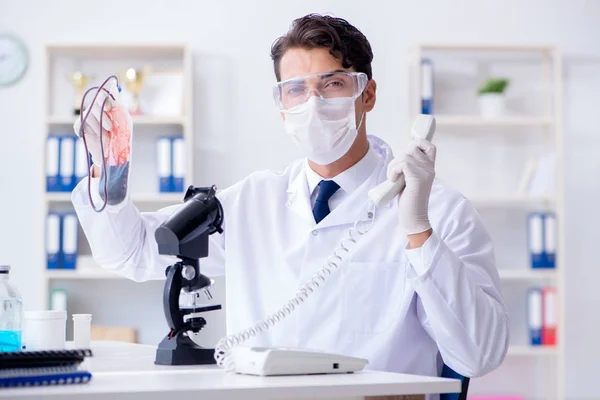 Γιατρός που εργάζεται με δείγματα αίματος στο εργαστήριο νοσοκομειακής κλινικής — Φωτογραφία Αρχείου
