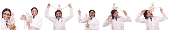 Αστείος δάσκαλος με σκελετό απομονωμένο σε λευκό — Φωτογραφία Αρχείου