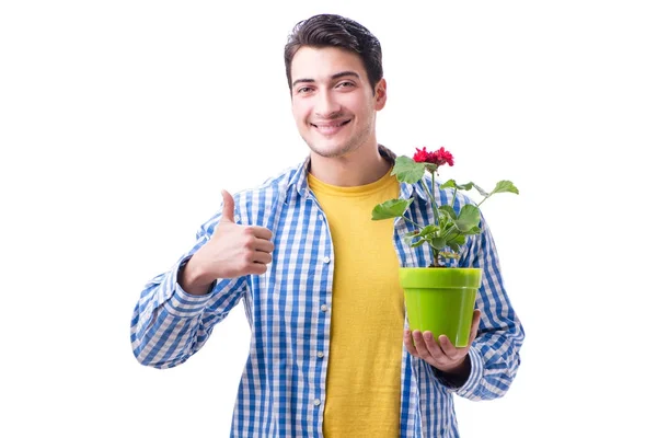 Hombre joven con maceta aislada en blanco — Foto de Stock