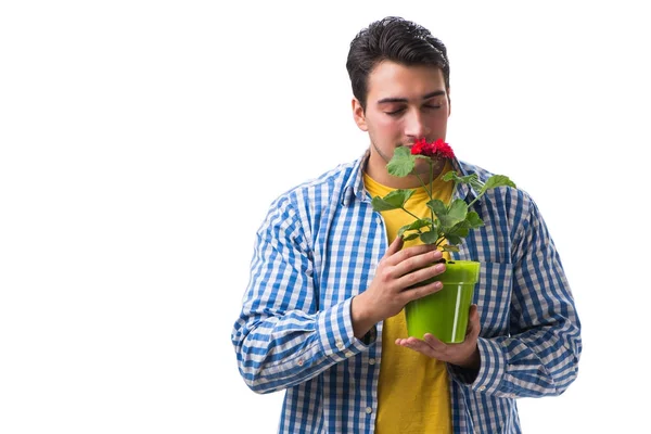 Jongeman met bloempot geïsoleerd op wit — Stockfoto