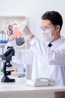 Hastane kliniğinde kan örnekleriyle çalışan bir doktor.