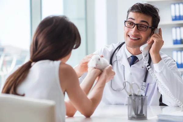 Tavşan besleyen kadın veteriner doktoru ziyaret ediyor. — Stok fotoğraf