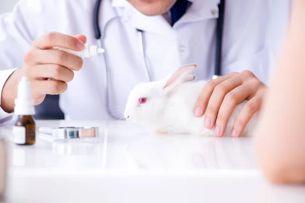 Médico veterinario examinando conejo mascota en la clínica — Foto de Stock