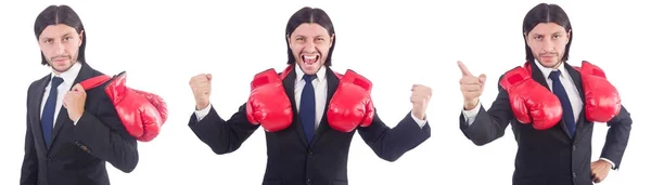 Бизнесмен в боксерских перчатках на белом — стоковое фото
