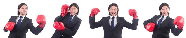 Geschäftsmann mit Boxhandschuhen auf weiß — Stockfoto