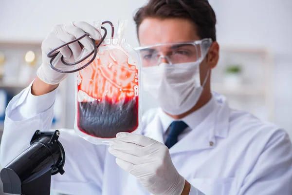 Doctor working with blood samples in hospital clinic lab — Stock Photo, Image