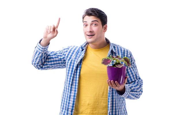 Jovem com vaso de flores isolado em branco — Fotografia de Stock