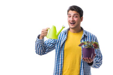 Çiçek saksısı olan genç adam beyaz tencereye izole edilmiş.