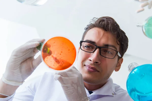 Químico que trabaja en el laboratorio con productos químicos peligrosos —  Fotos de Stock