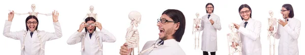 Funny teacher with skeleton isolated on white — Stock Photo, Image