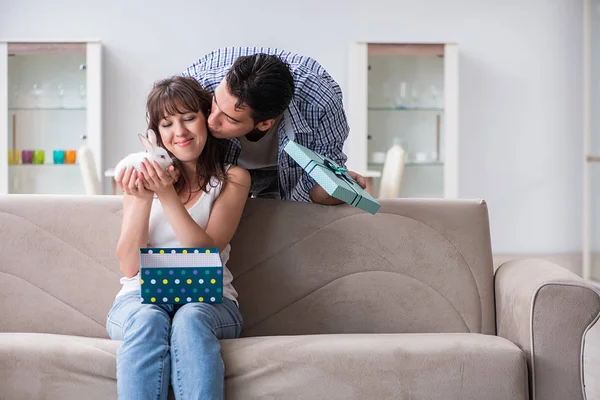 Jonge vrouw krijgt huisdier konijn als verjaardagscadeau — Stockfoto