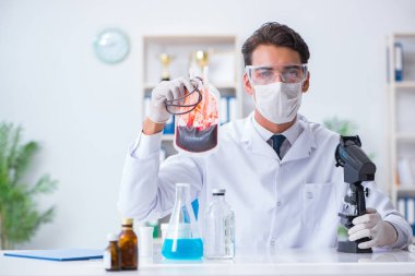 Hastane kliniğinde kan örnekleriyle çalışan bir doktor.