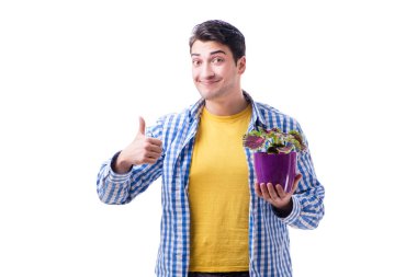 Çiçek saksısı olan genç adam beyaz tencereye izole edilmiş.