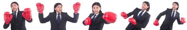 Geschäftsmann mit Boxhandschuhen auf weiß — Stockfoto