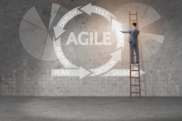 Концепция разработки гибкого программного обеспечения