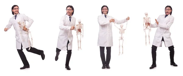 Rolig lärare med skelett isolerad på vitt — Stockfoto