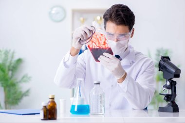 Hastane kliniğinde kan örnekleriyle çalışan bir doktor.