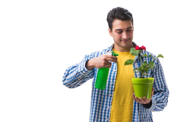 白い花の鍋を持つ若い男 — ストック写真